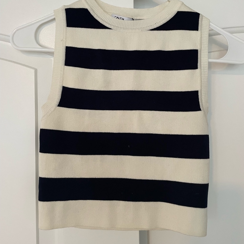 Zara Black and White Striped Crop Top